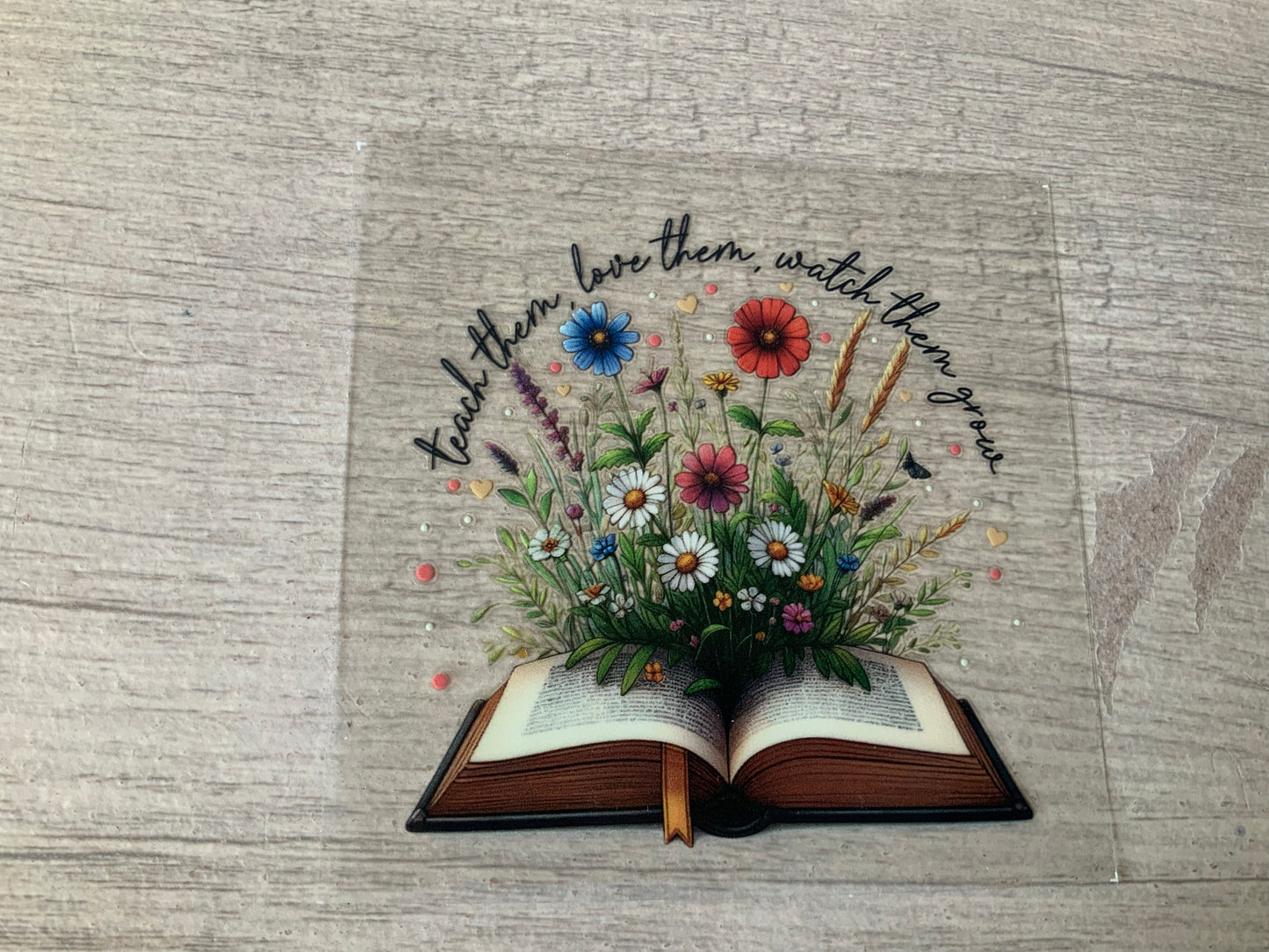 Books teach, love, watch them grow