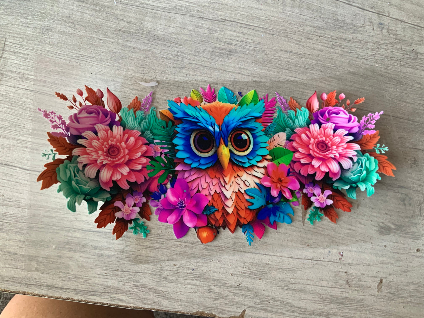Owl colors