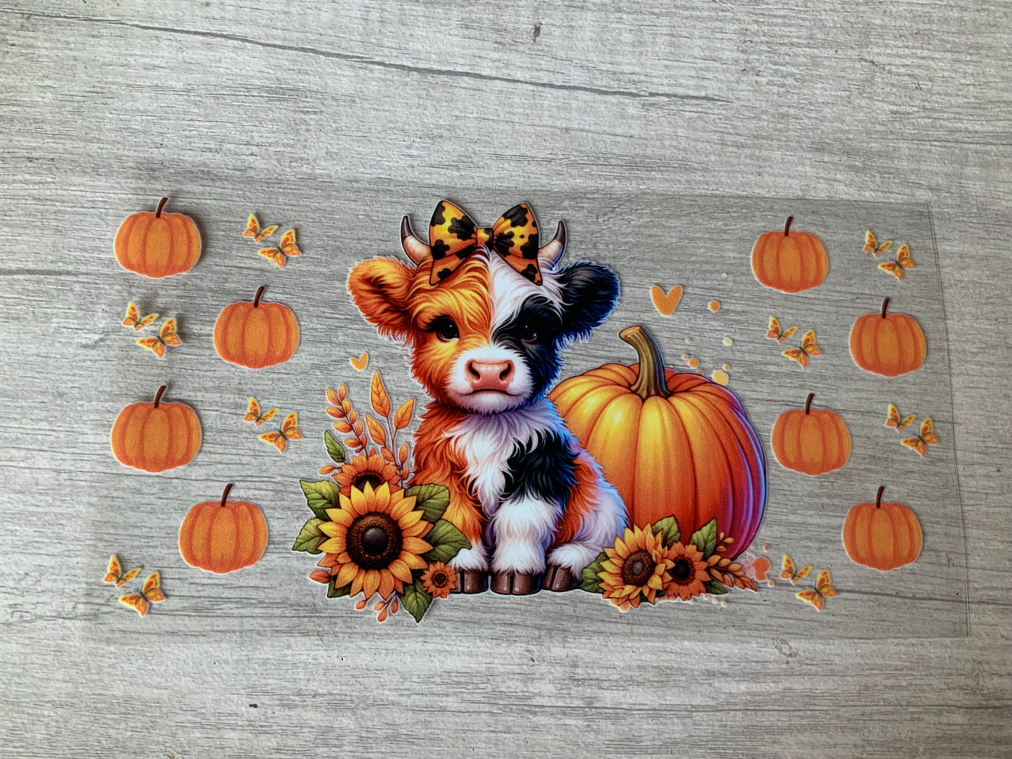 Cow half and half pumpkins full