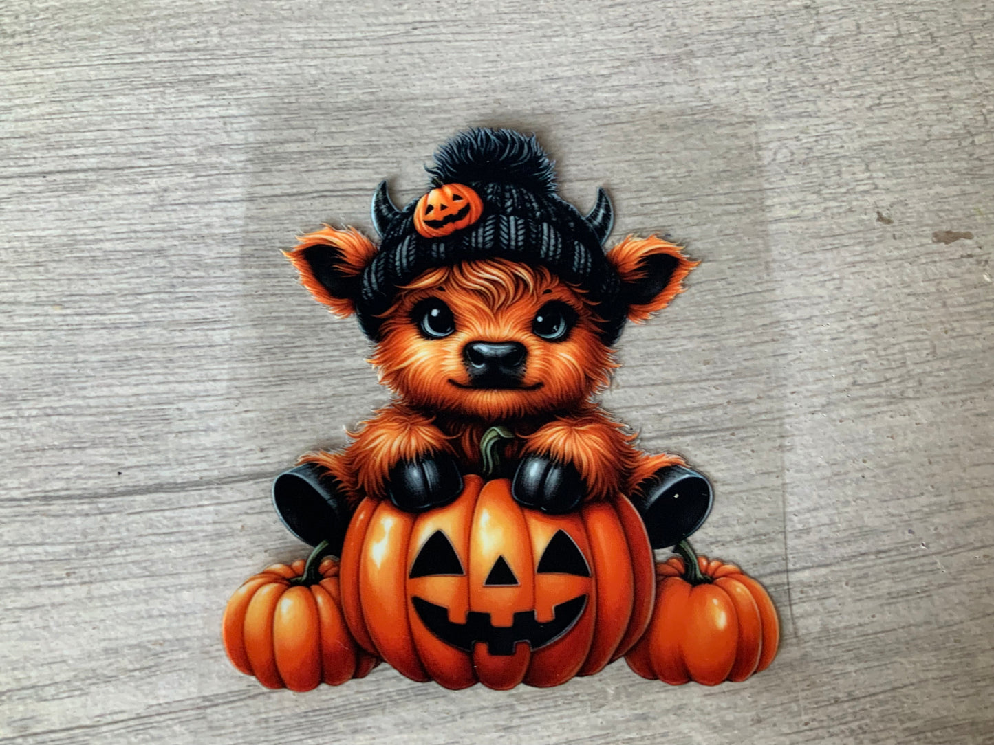Cow in pumpkin orange