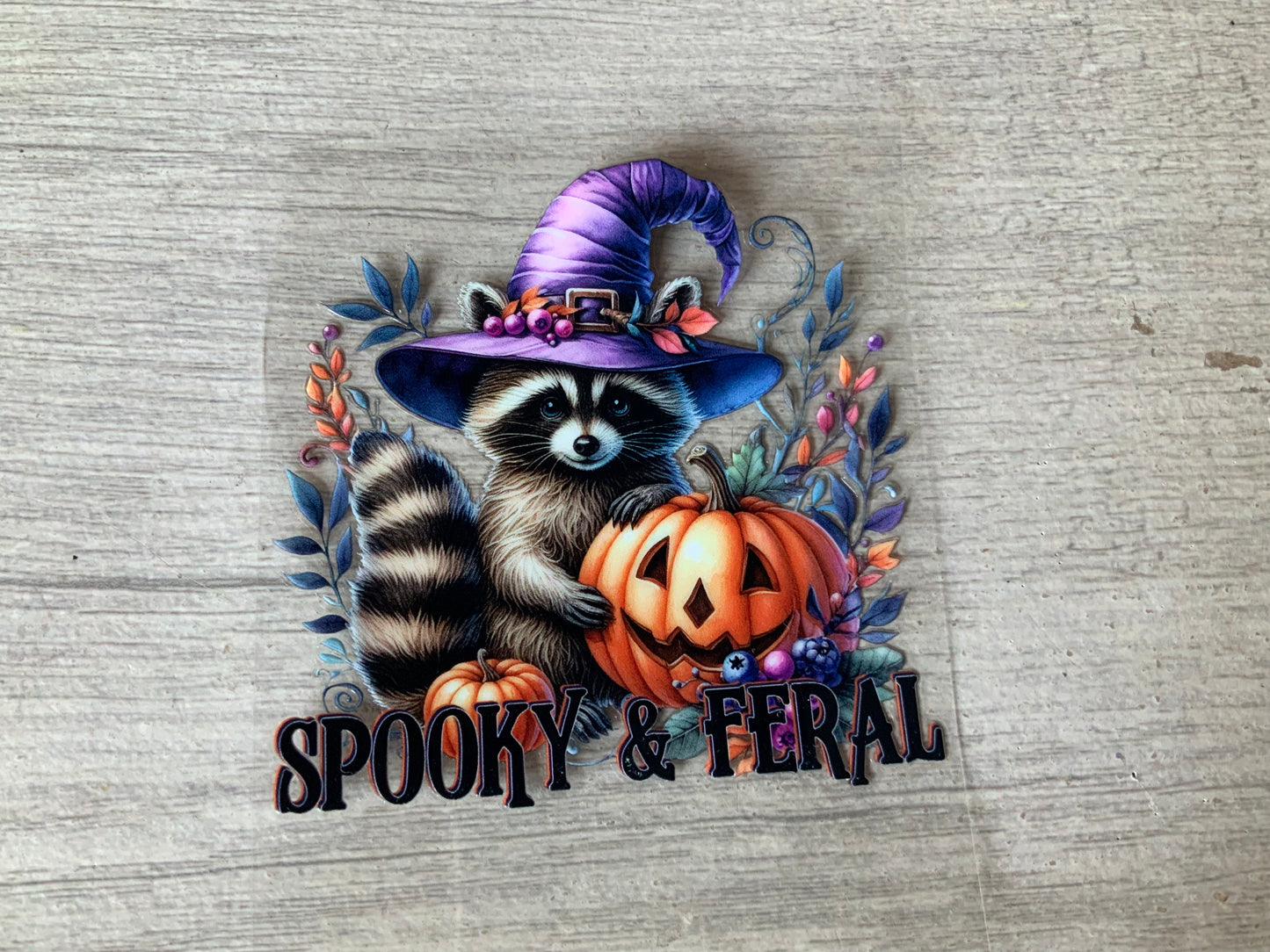Racoon spooky and feral
