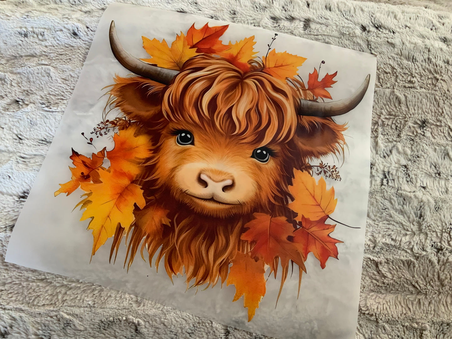 Cow fall leaves