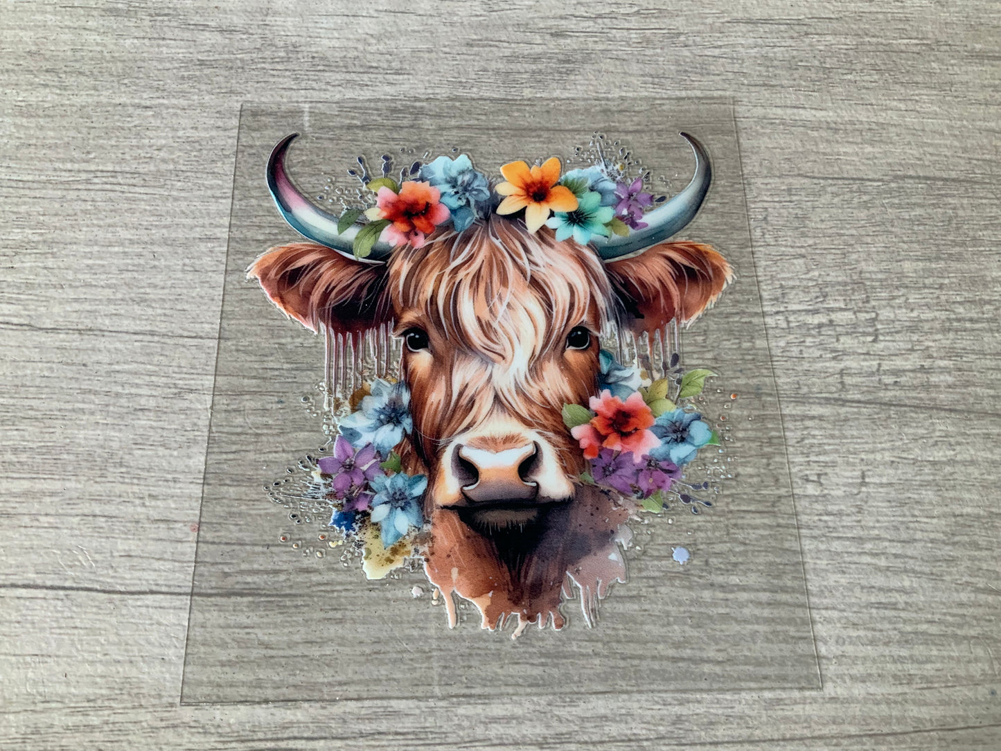 Cow floral