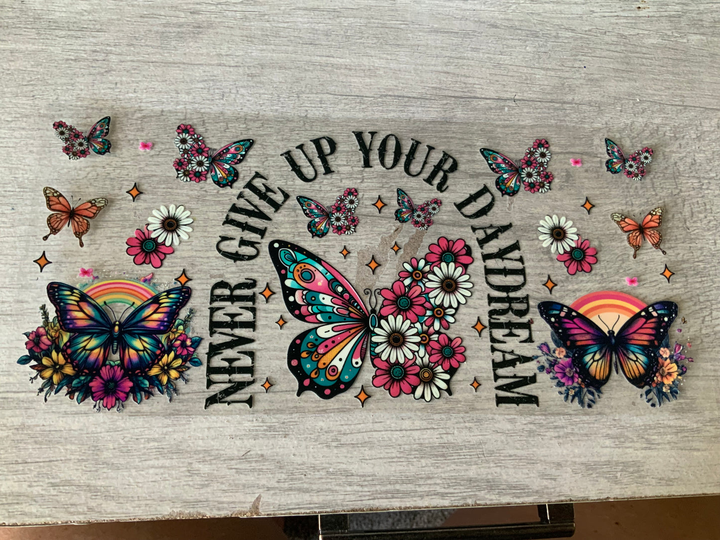 Butterfly never give up your daydream