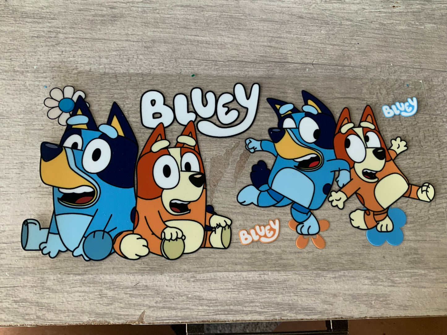 Bluey and friends