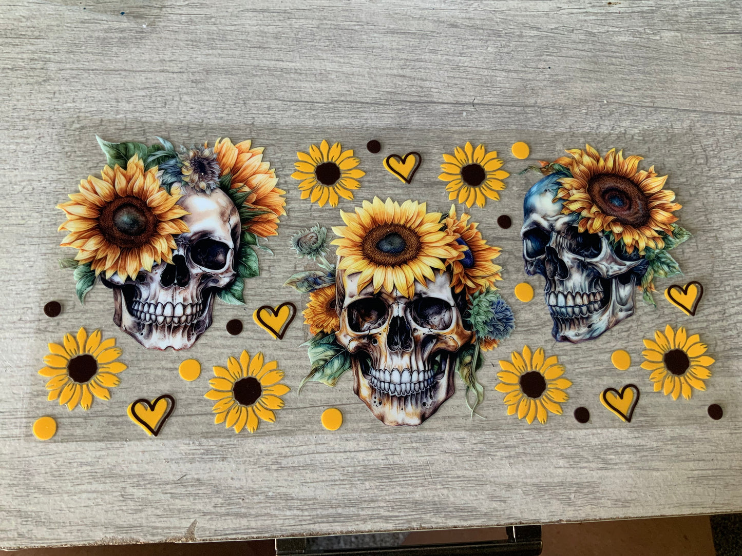 Skelly sunflower