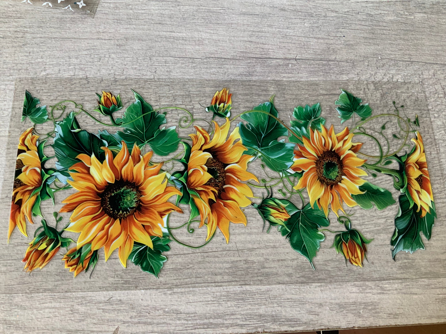 Sunflowers on vine