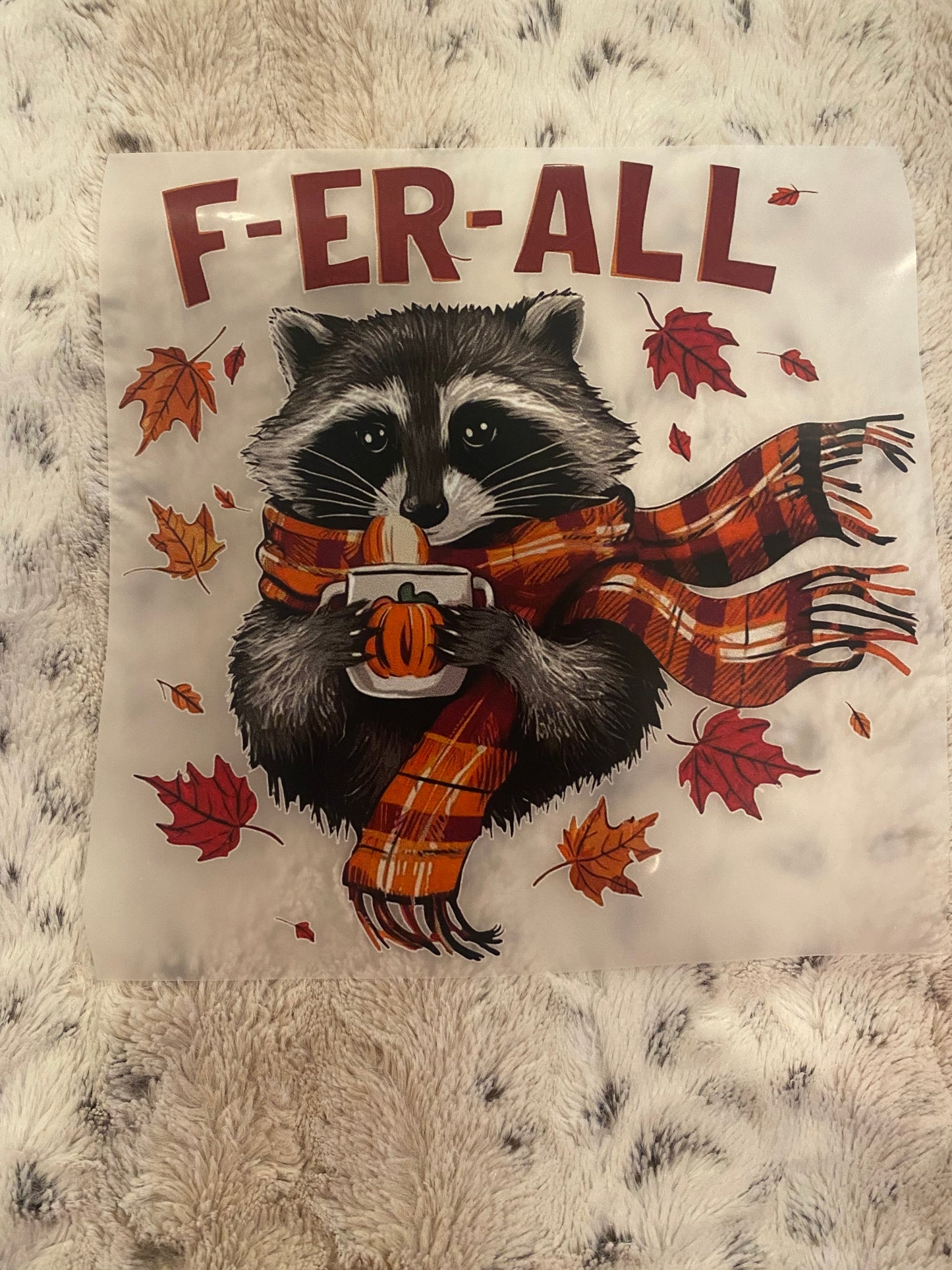 Racoon feral
