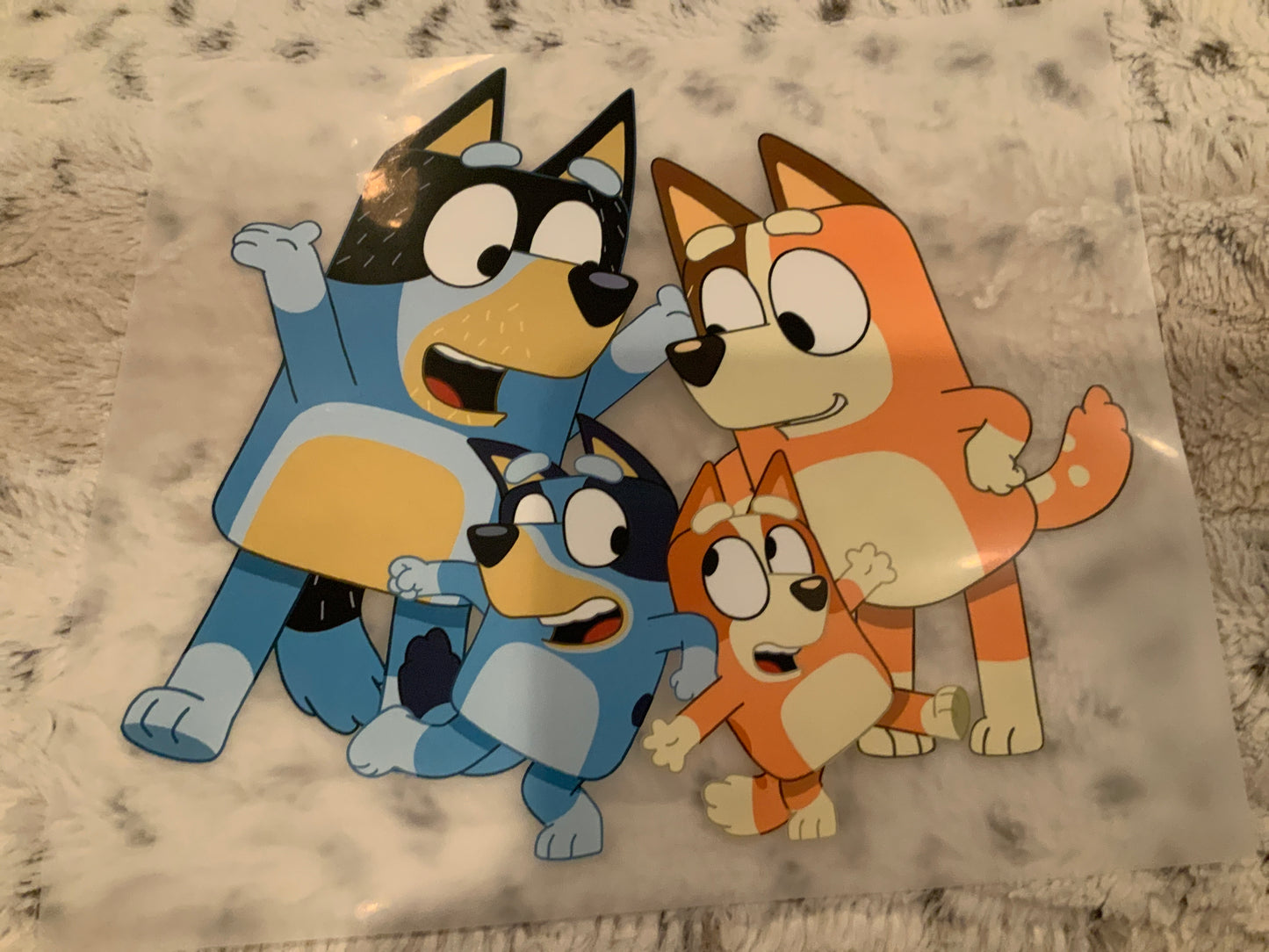 Bluey family