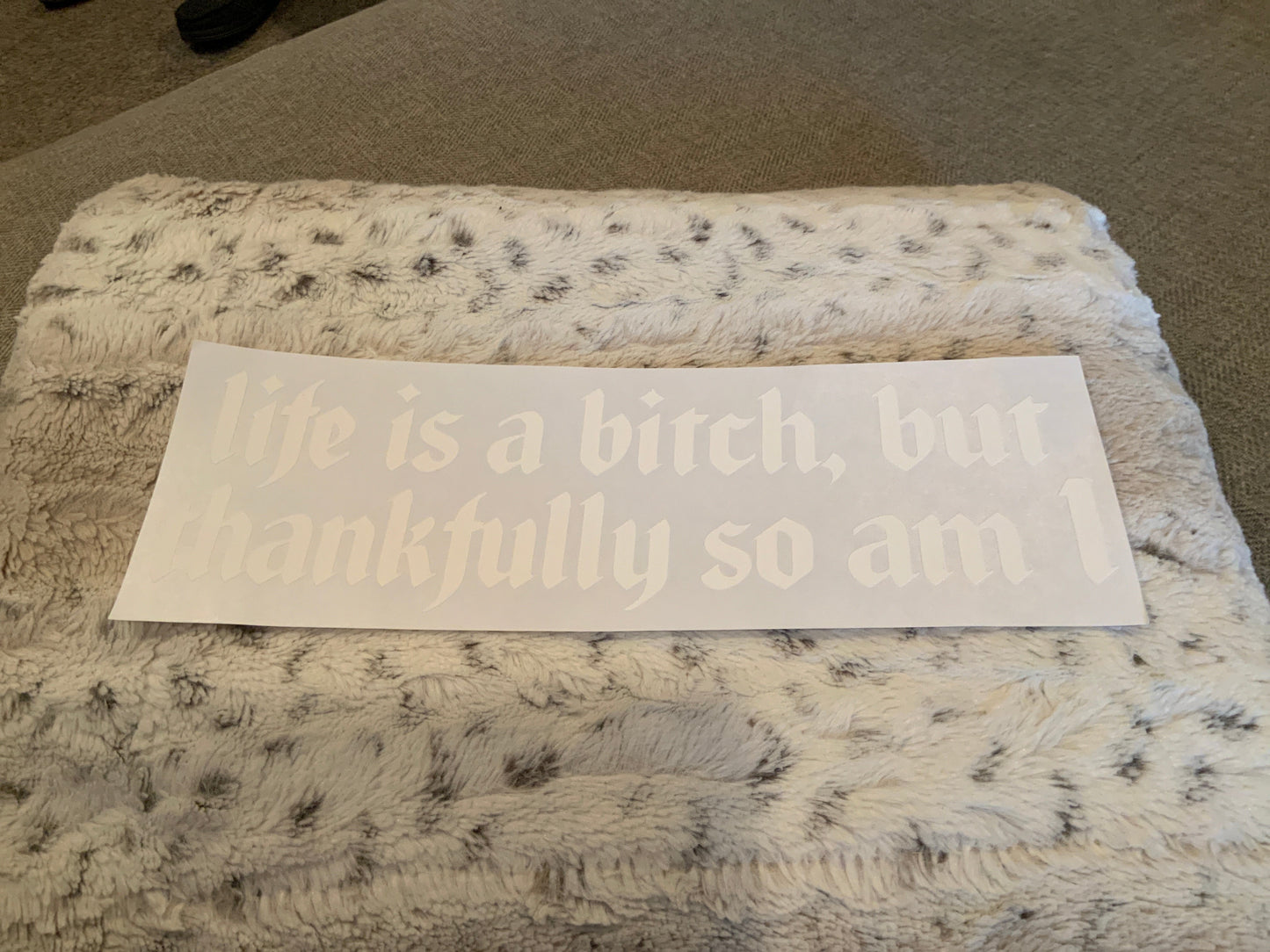 Life is a bitch