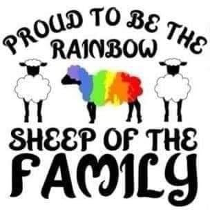 Pride Sheep family