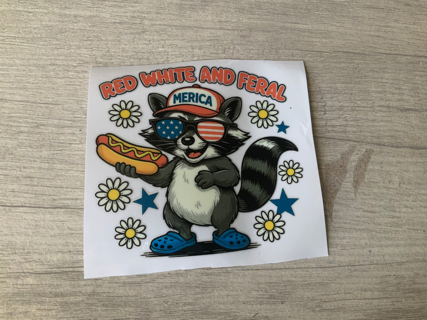 Raccoon red white and feral