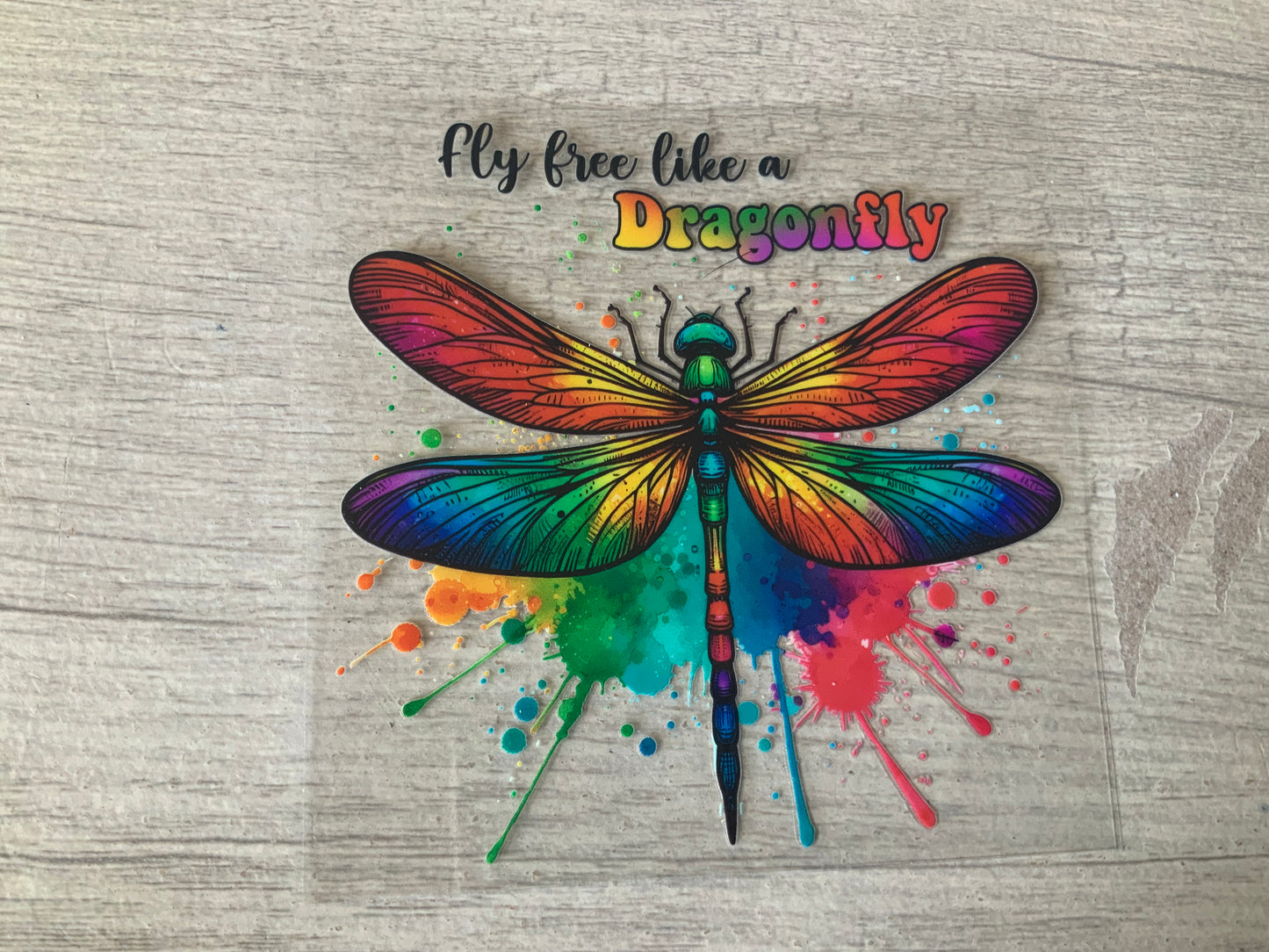 Dragonfly fly free rainbow