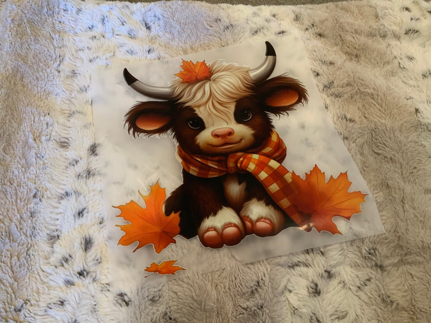 Cow fall leaves