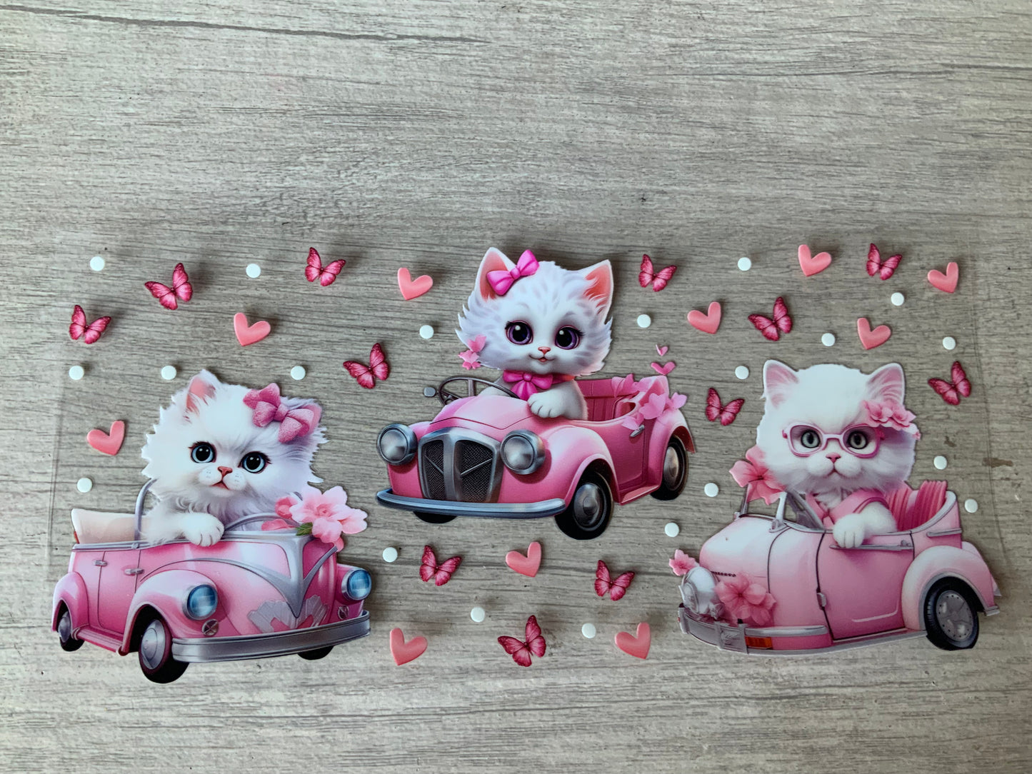 Kitty in the car