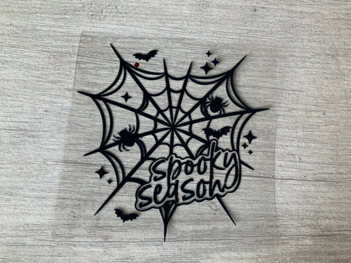 Spider web spooky season