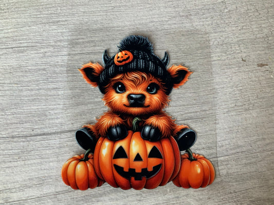 Cow in pumpkin orange