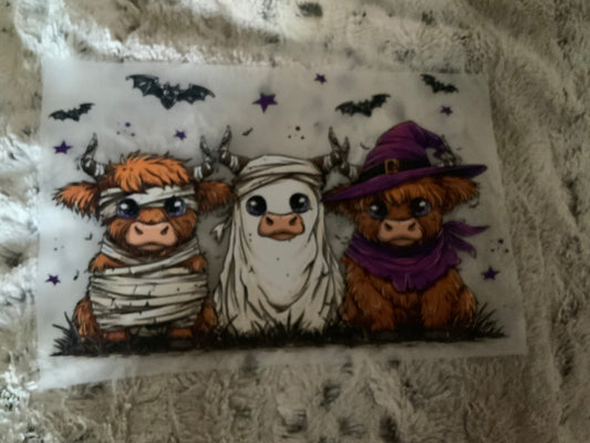 Cows spooky trio