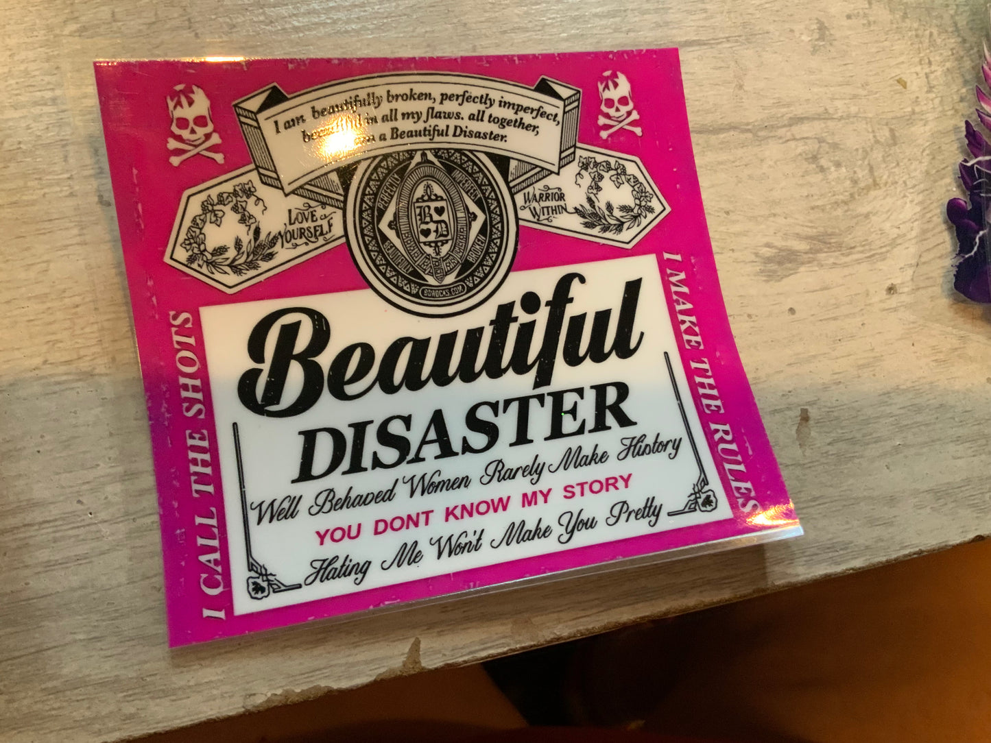 Beautiful disaster