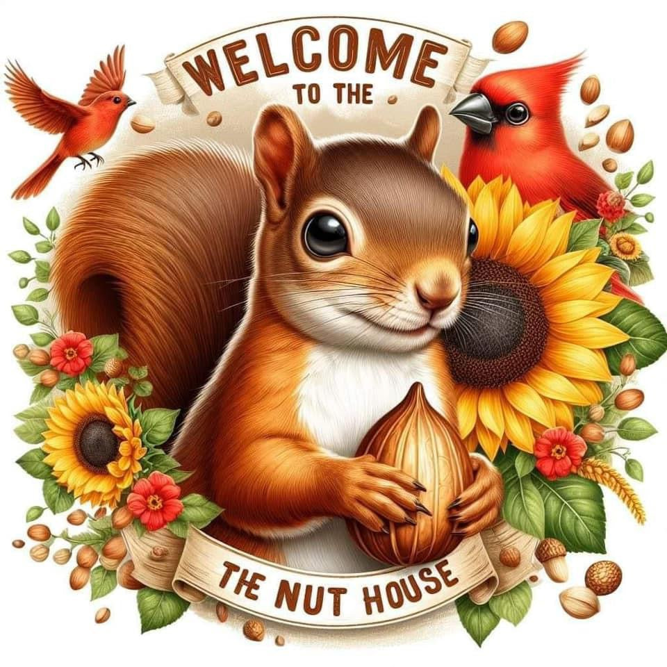 Wind spinner squirrel nut house