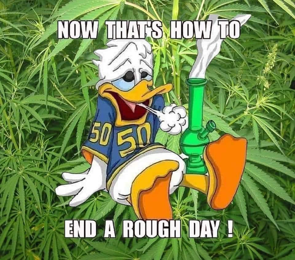 420 duck rough day