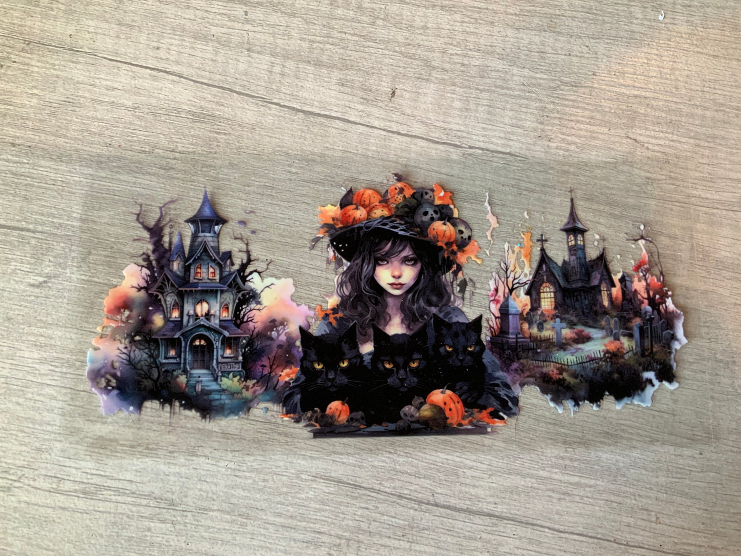 Witch haunted house