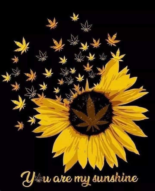 420 sunflower