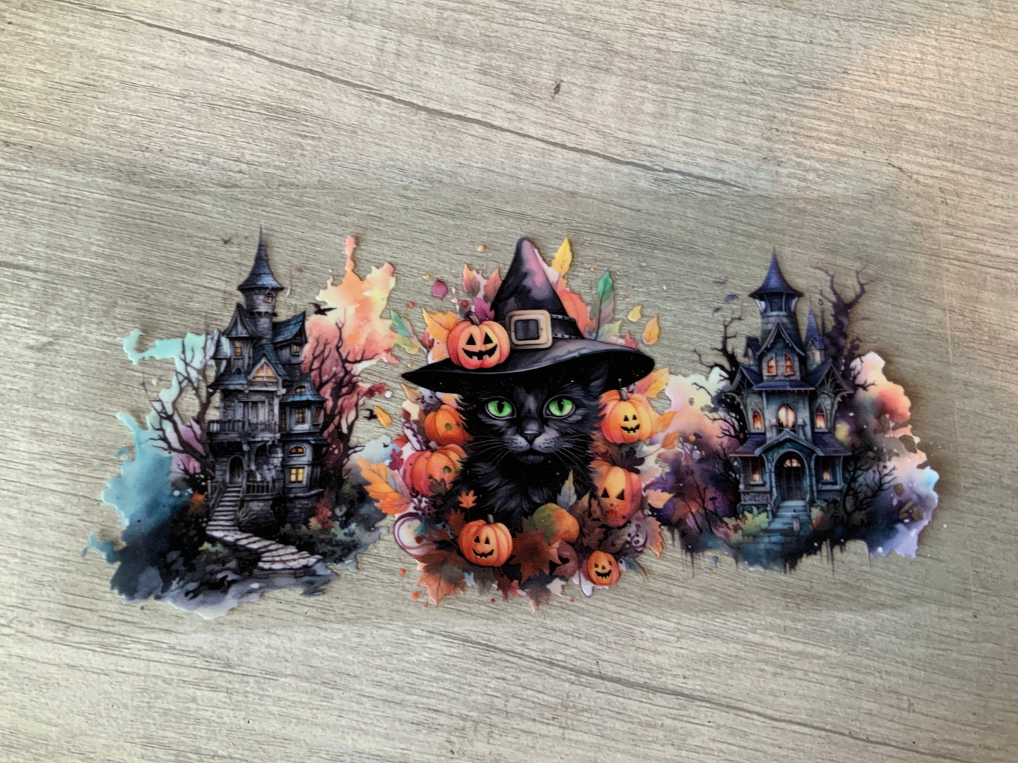 Cat haunted house