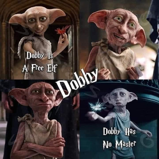 Hp dobby  colage