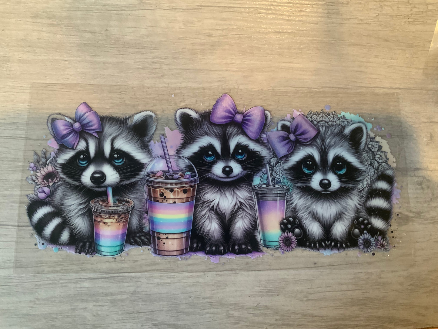 Raccoon drink