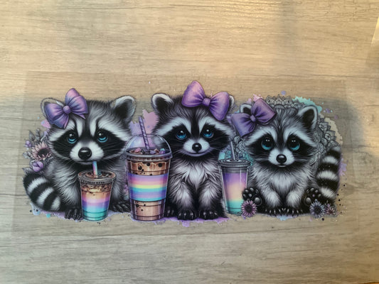 Raccoon drink