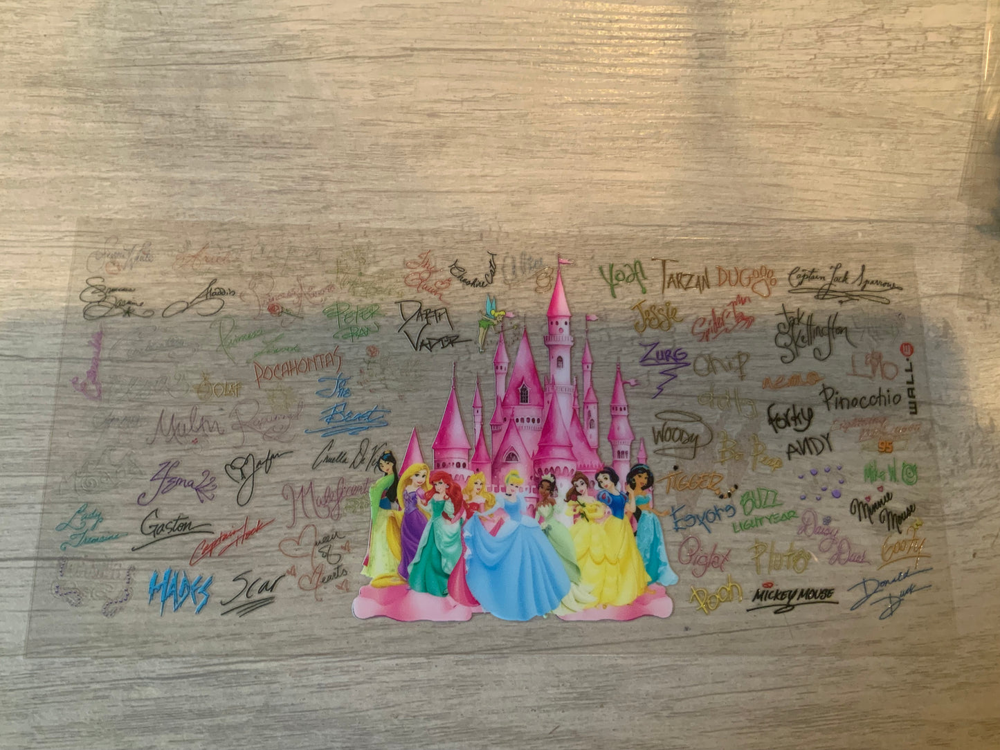 Princesses castle
