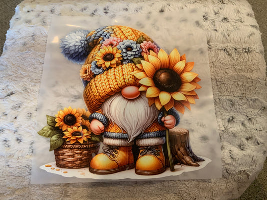 Gnome sunflower