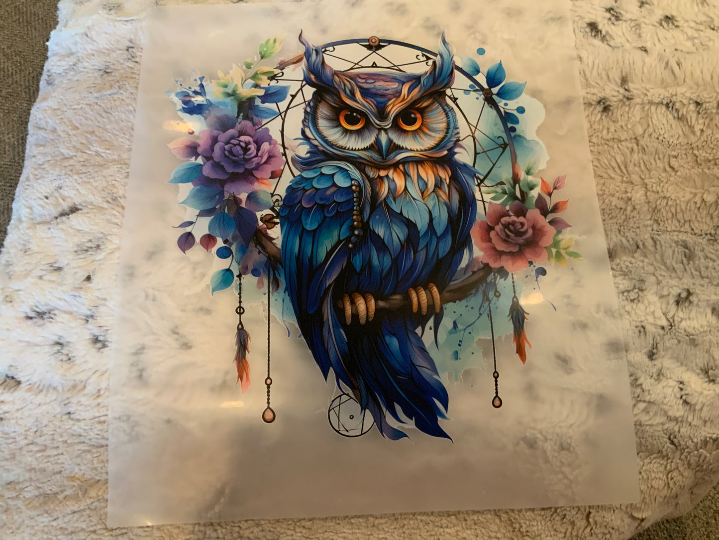 Owl blue